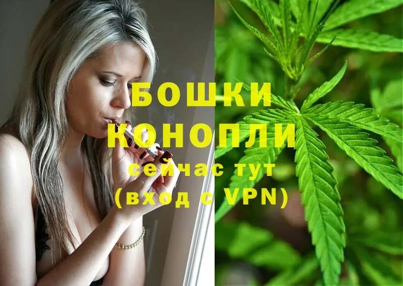 Бошки Шишки VHQ  Касли 